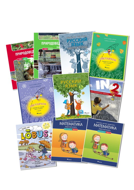 Kilekaaned 252 x 570 reguleeritavad (2 klass)