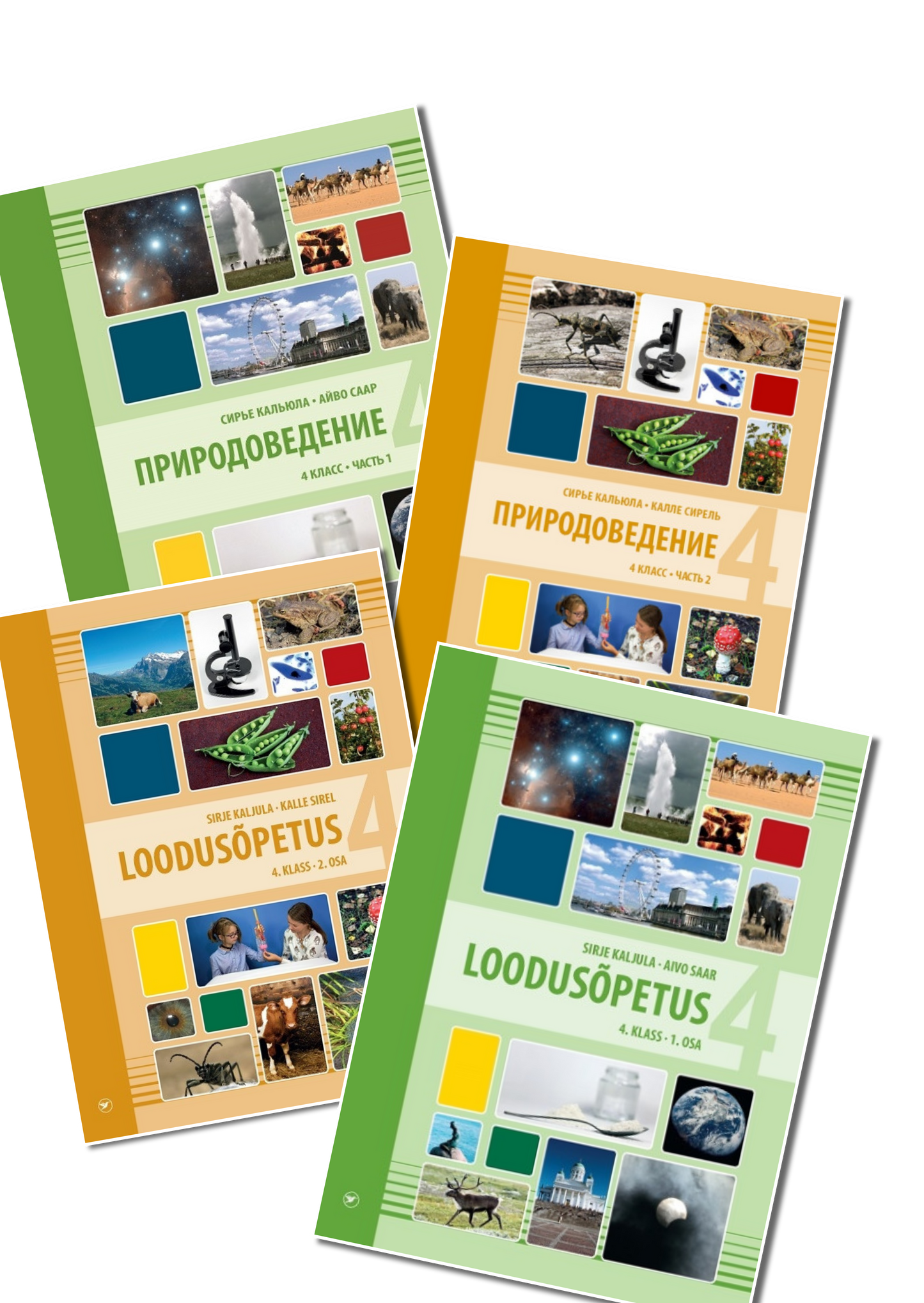 Kilekaaned 283 x 565 reguleeritavad (4 klass)