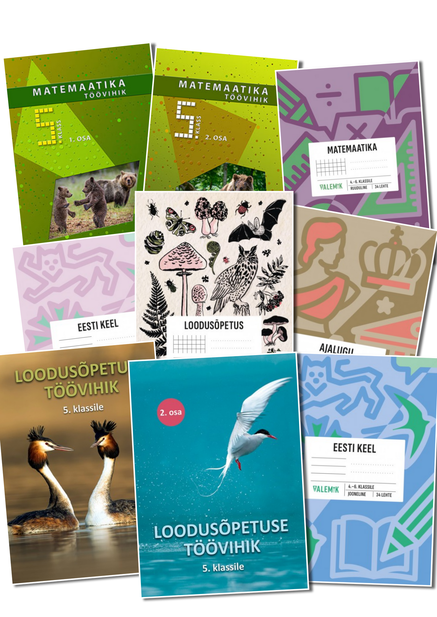 Kilekaaned 244 x 473 reguleeritavad (5 klass)