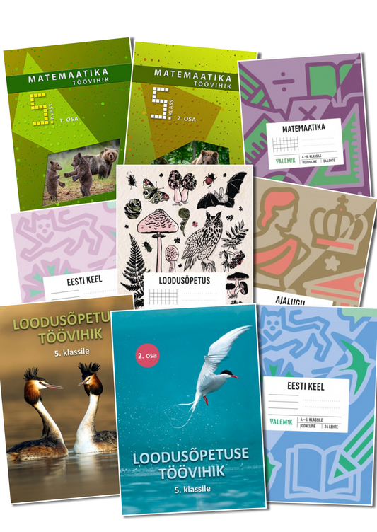 Kilekaaned 244 x 473 reguleeritavad (5 klass)