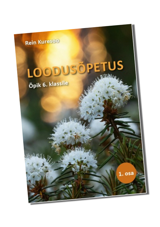 Kilekaaned 250 x 510 reguleeritavad (6 klass)