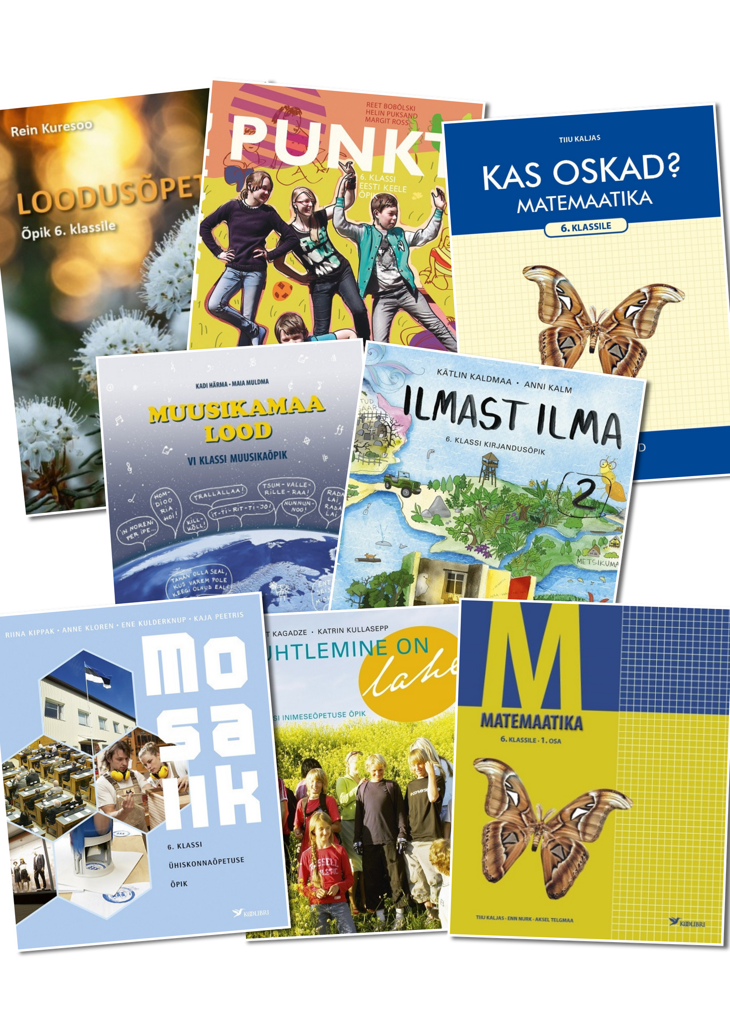 Kilekaaned 252 x 570 reguleeritavad (6 klass)