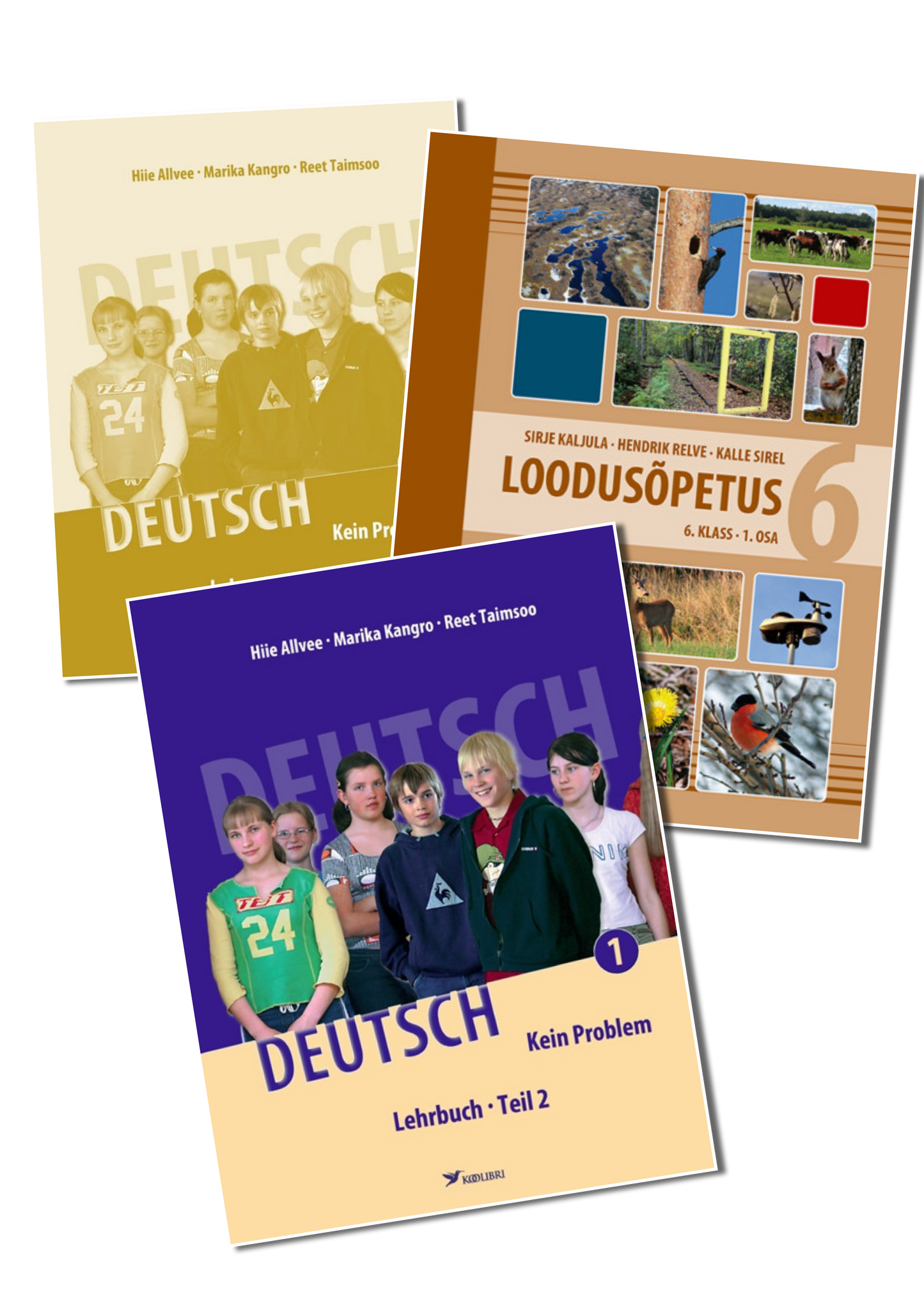 Kilekaaned 283 x 565 reguleeritavad (6 klass)