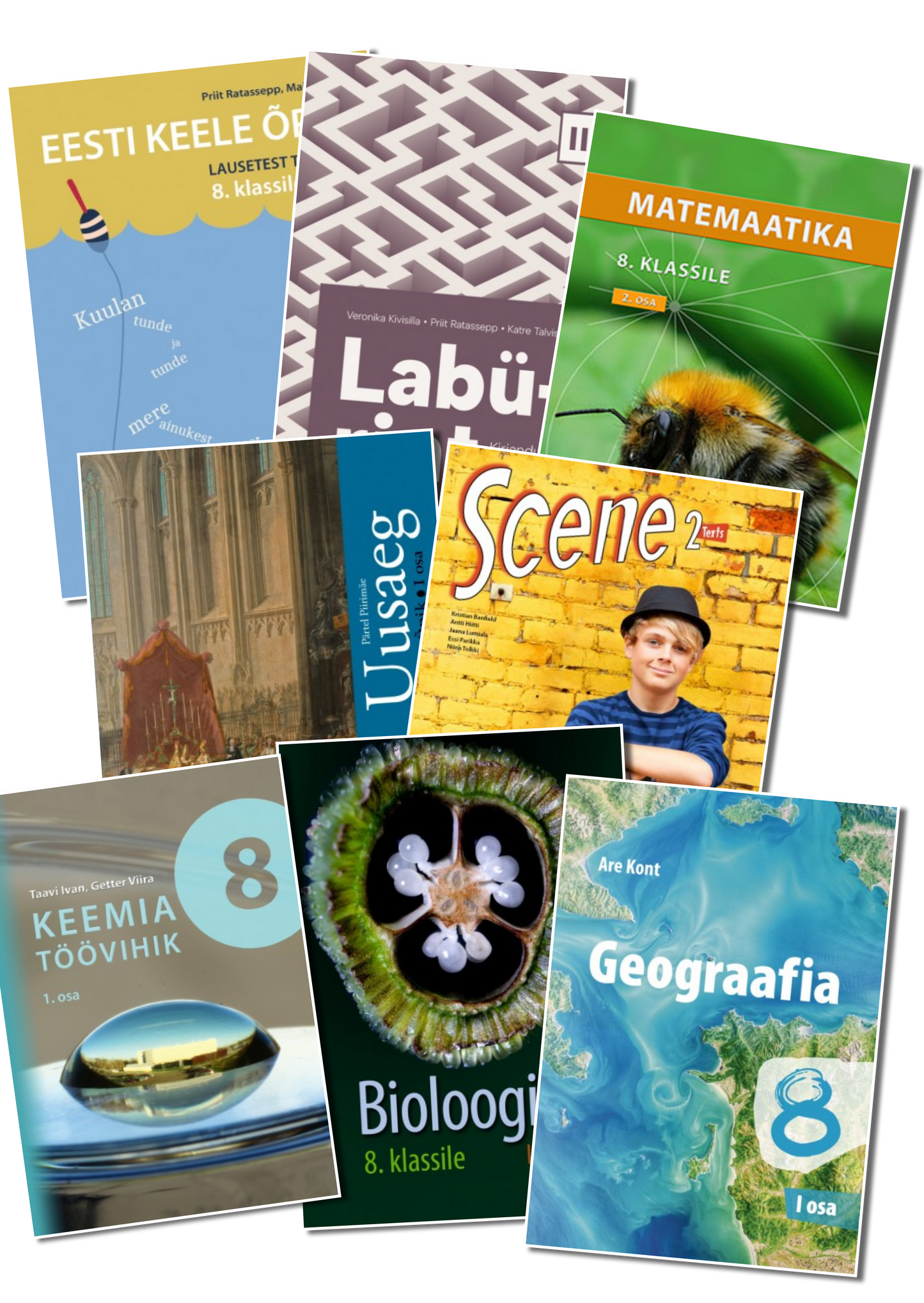 Kilekaaned 244 x 473 reguleeritavad (8 klass)